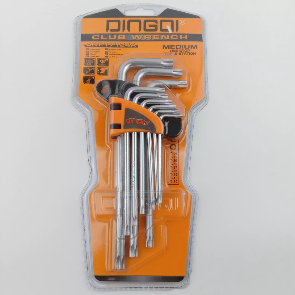 SHESTIGRANNIK NABOR DINGOI 17124A